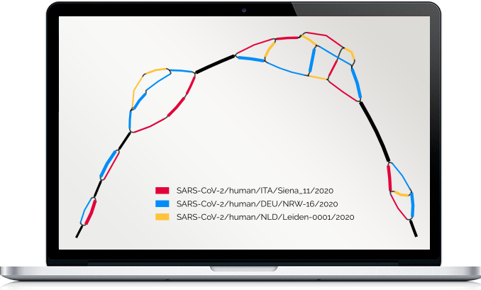 A pangenome of three SARS-CoV-2 strains